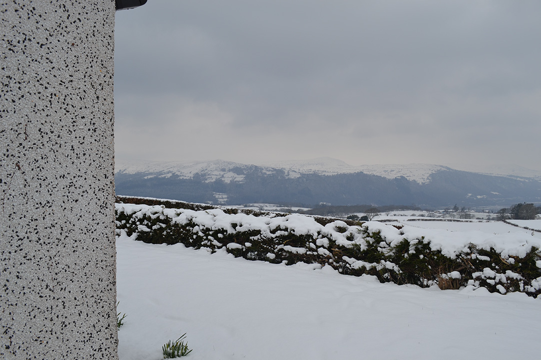 29_Snow of 2013