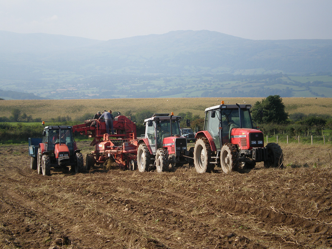 18_Digging with the Grimme Harvester 2008
