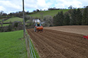 6A_Planting potatoes