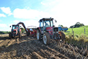 17_Digging potatoes in the autumn
