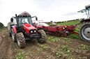 16_Digging potatoes in the summer months 4