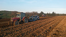 3_Destoning in the spring to get the land ready for planting