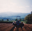 35_Planting Potatoes in the 1980 with a Fergy planter